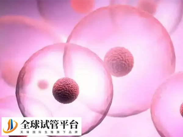 促排卵收费合理