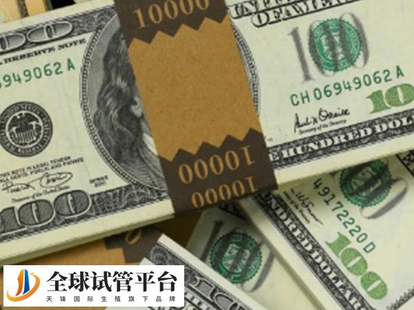 卵子冷冻保存费不贵