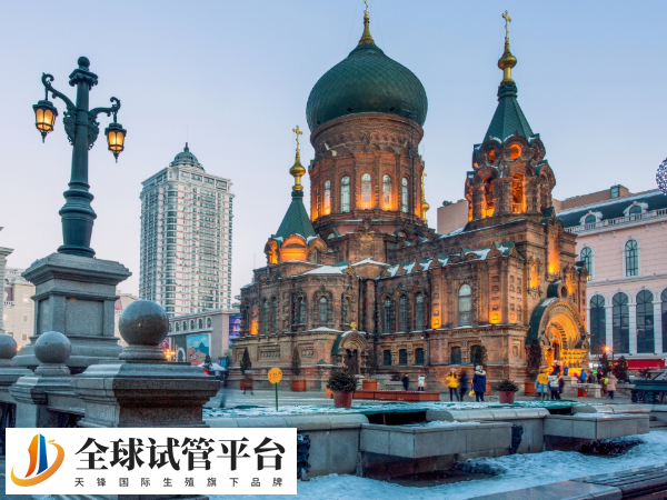 哈尔滨哪里可以冻卵