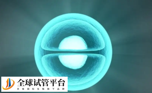 冻卵的费用需要2万元