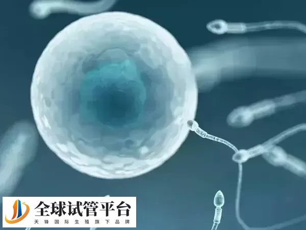 980医院提供个性化的治疗方法