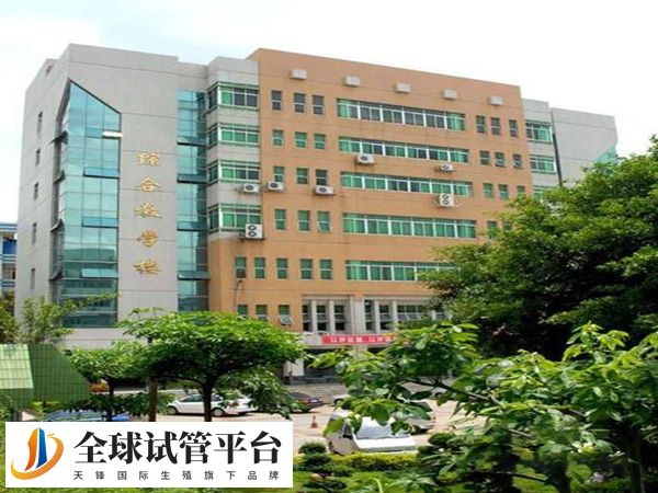 南宁二医院试管技术如何