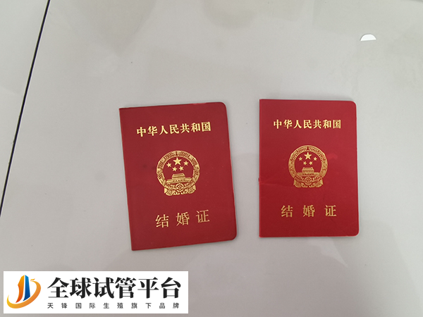 南昌供卵试管婴儿医院排名