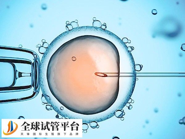 南宁试管费用报销政策规定解读
