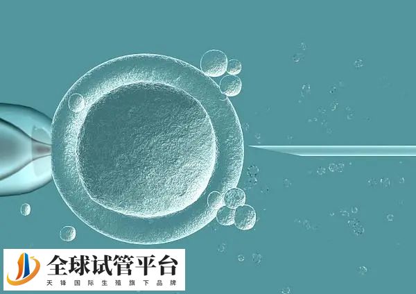 南昌做试管能否报销