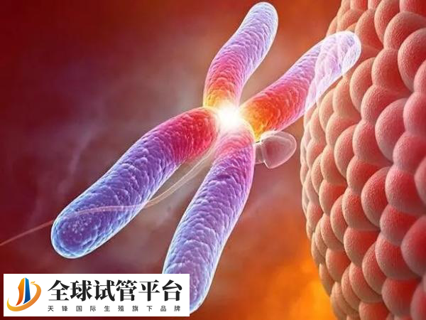 长春和沈阳哪做试管好