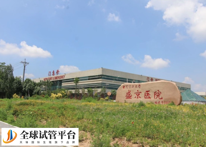 盛京医院有较高的成功率