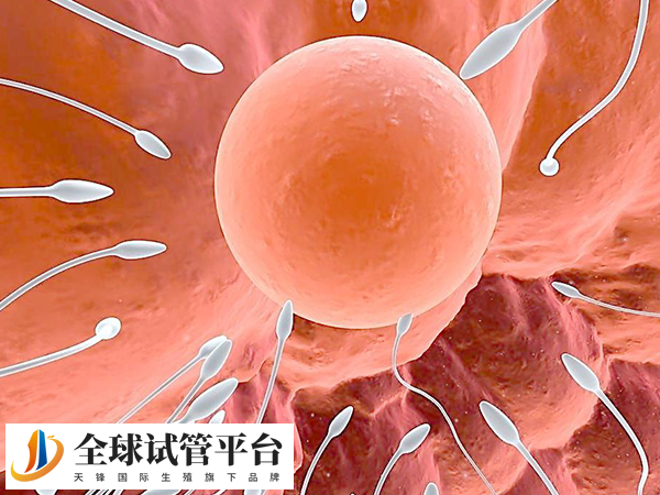 长春和沈阳的医院数量不一样