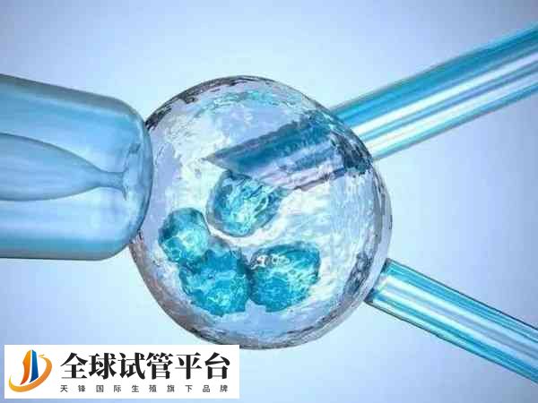 试管婴儿收费不低