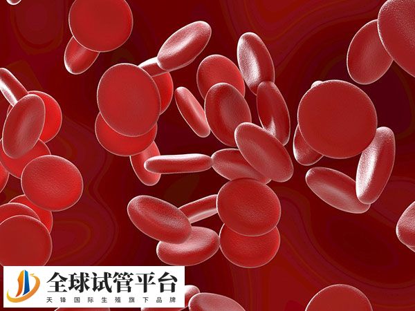 贫血是地贫症状之一