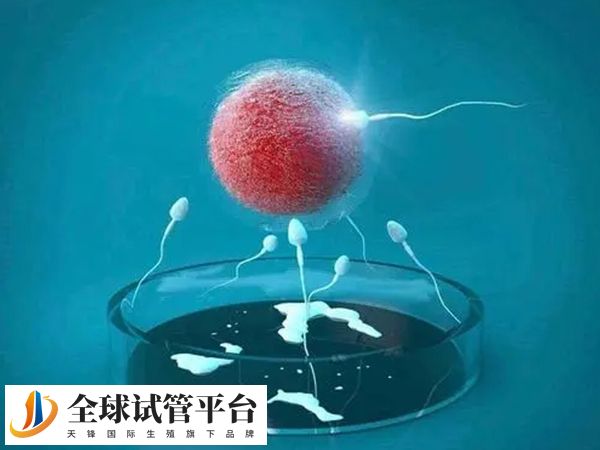 银川附属医院和妇幼保健院做试管哪家好