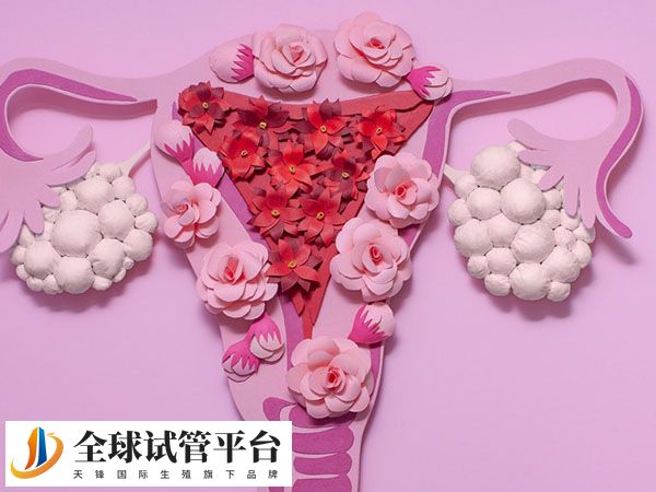 在西宁amh值0.47做试管有无希望