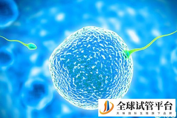 年龄影响试管成功率