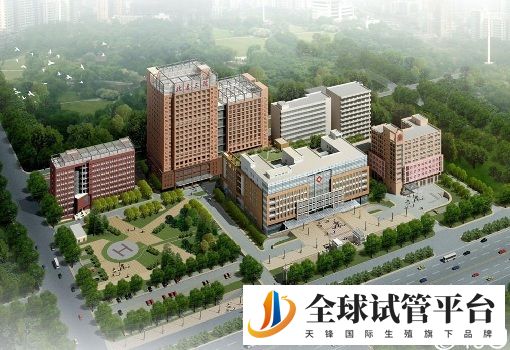 新疆三代试管婴儿医院大全