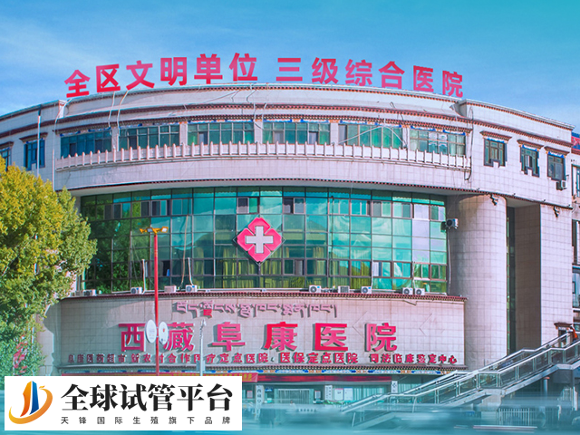 拉萨阜康医院供卵试管婴儿多少钱