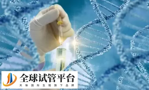 东莞最好的男科医院名单汇总：这三家都支持三代试管医疗服务