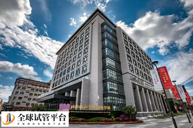 国内10大助孕机构电话和地址是什么？附三代试管包生男孩费用