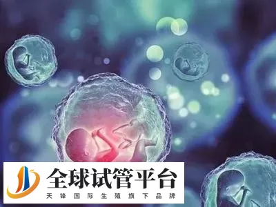 国内10大助孕机构电话和地址是什么？附三代试管包生男孩费用