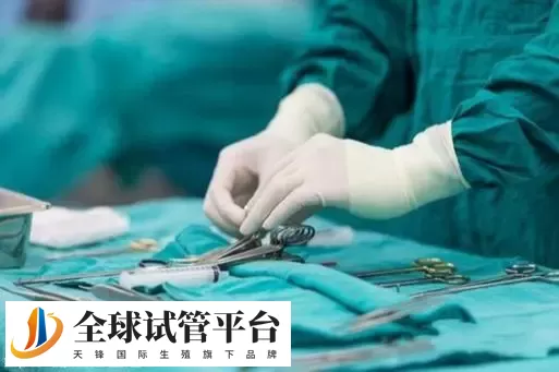 南京供卵做试管需要什么条件?附相关收费明细在线一览