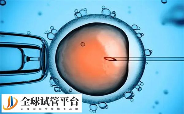  重庆试管婴儿详细流程