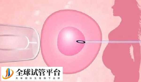 北京协和第二代试管流程很简单