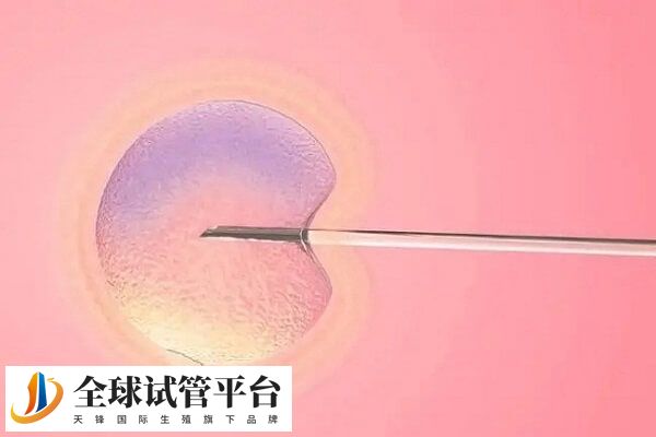 在北京协和做促排移植的费用每个人都不同