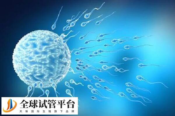北医三院会给精子库精子分等级