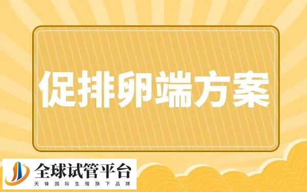 短方案促排时间很短