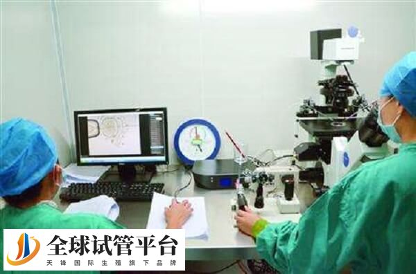 上海试管包成功的医院是没有的