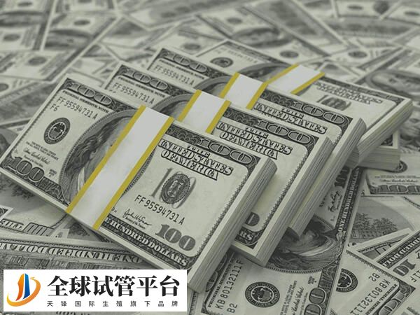 上海一代试管婴儿费用大约多少钱？