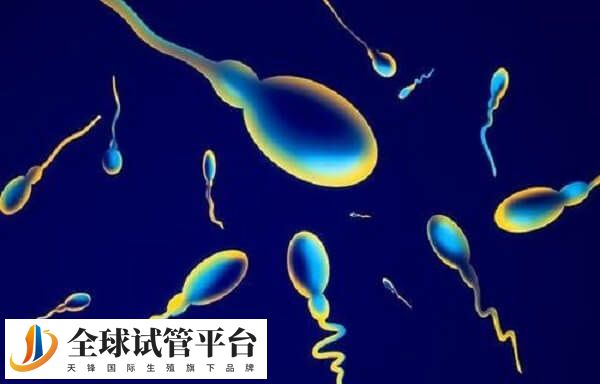 上海本地人在精子库买精子需要很多条件