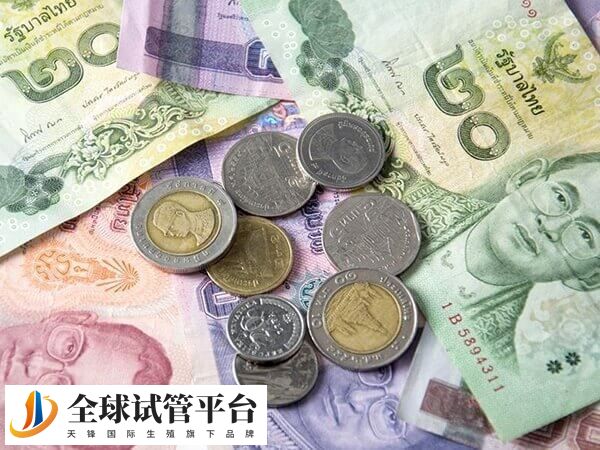 三代试管婴儿费用要十万