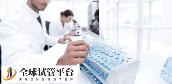 成都做试管婴儿包成功的医院到底有没有？