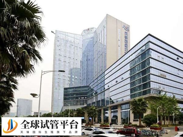 成都西囡医院做试管移植都是选下午吗？