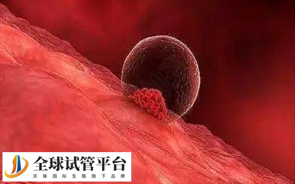 内分泌水平异常容易导致着床能力不佳