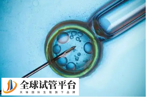 一代试管适合女性问题
