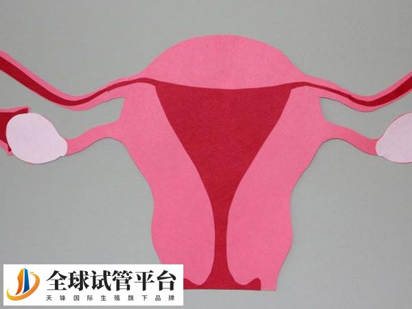 当FSH数值高于10通常表明卵巢储备功能下降