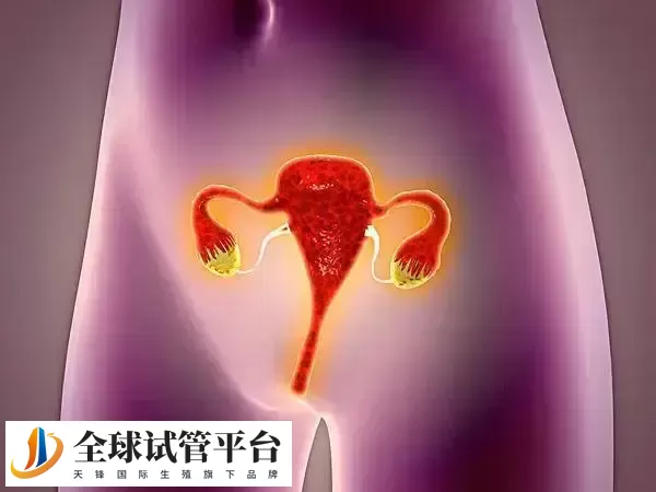 月经不调可挂生殖科