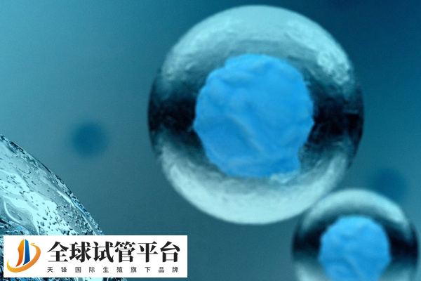 宜昌仁和医院可做供卵