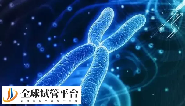 济南私立医院做三代试管可以选男女吗，附具体收费清单分享