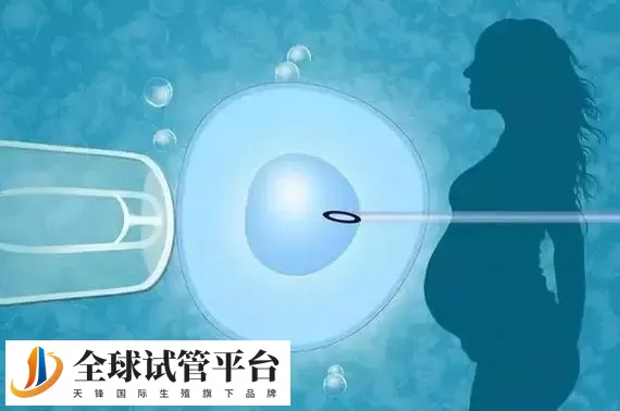 北京可以做供卵试管助孕的机构有哪些？费用一般在8-15万左右