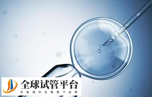 公布2024广州试管助孕机构前十名单汇，附相关联系方式提供