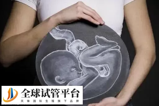 公布2024广州试管助孕机构前十名单汇，附相关联系方式提供