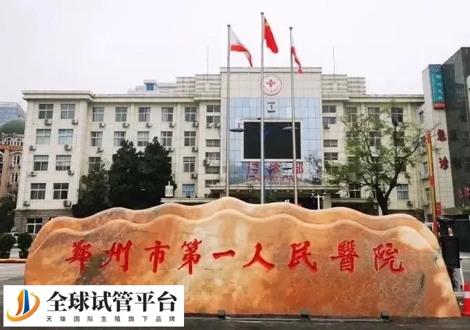 2024河南郑州做试管比较权威的医院名单汇总：附包生男孩费用一览表