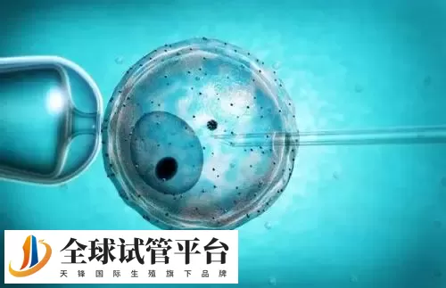 2024河南郑州做试管比较权威的医院名单汇总：附包生男孩费用一览表