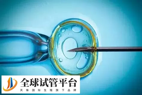 哈尔滨三代试管供卵助孕多少钱？这份费用明细清单建议收藏