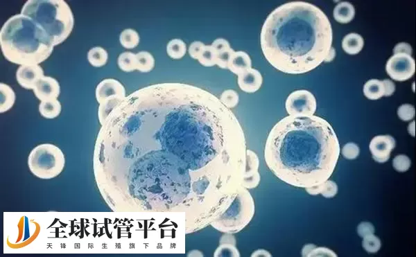 广州三代试管助孕生个娃要多少钱？知情人揭秘不超这个数