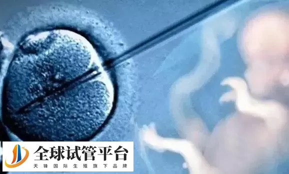 广州做试管婴儿比较出名的医院：这几家是实至名归