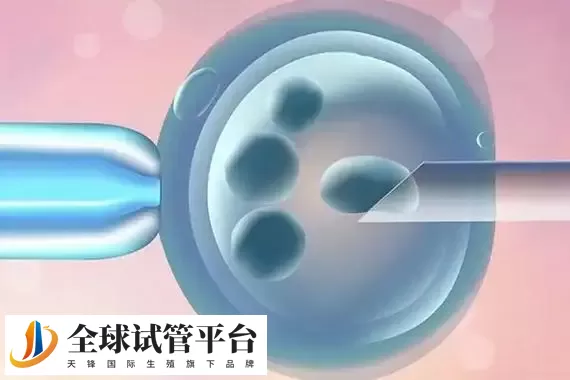 福州不孕不育医院排名榜前三名：这几家都上榜了