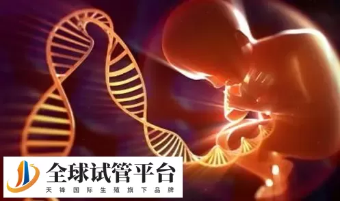 合肥做试管婴儿比较好的生殖医院top10名单汇总